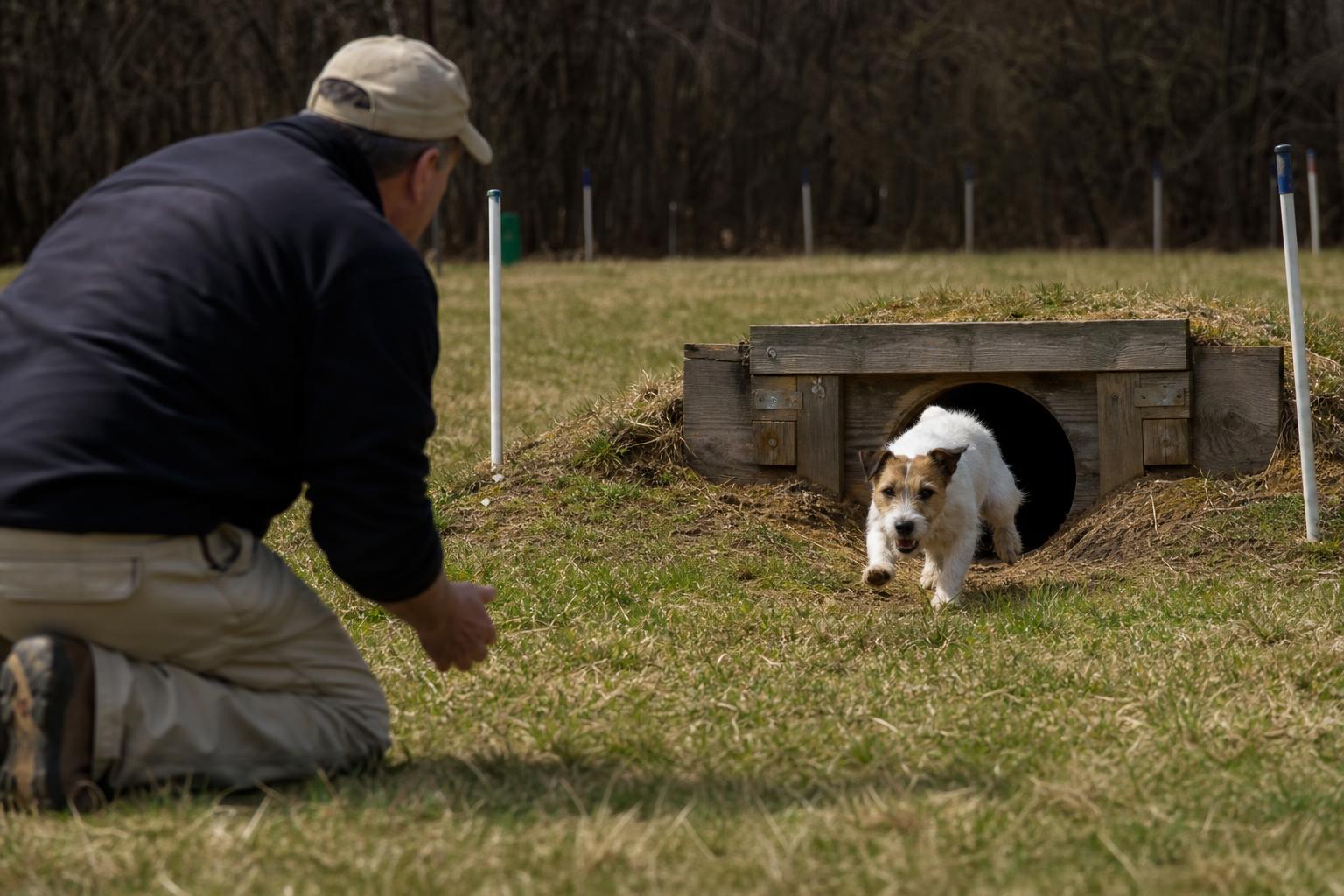Earthdog Trials