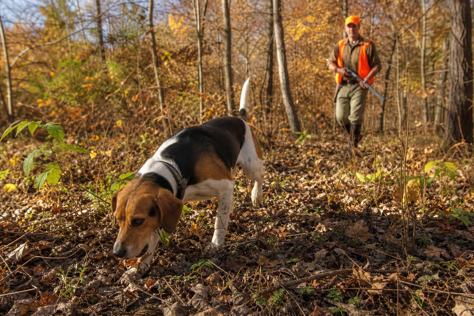 Small-Game Hunting