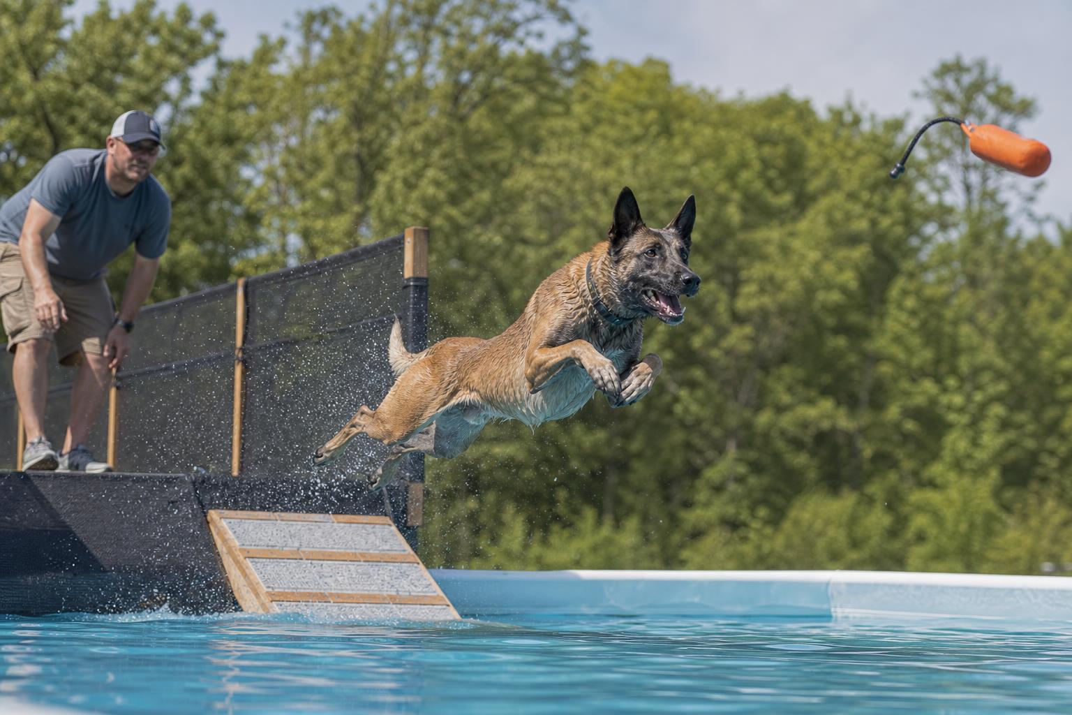 Dock Diving